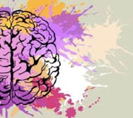 brain image