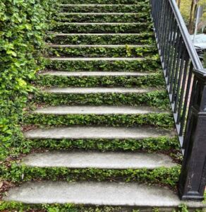 stairs